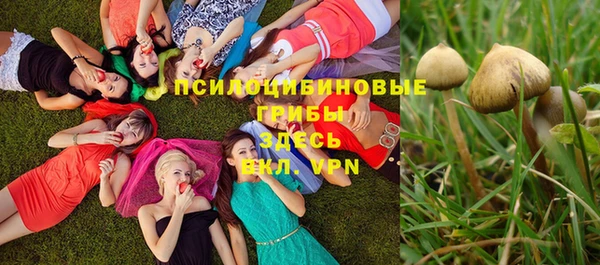 прущая мука Каменногорск
