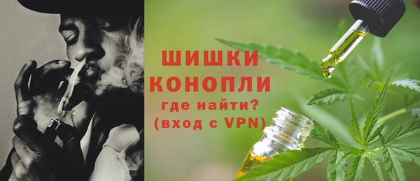 ПСИЛОЦИБИНОВЫЕ ГРИБЫ Иннополис