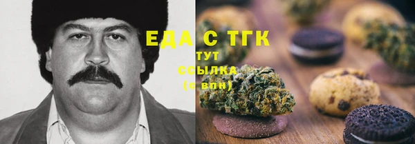 сатива Инта