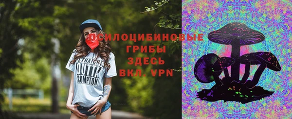 мдпв Каменск-Шахтинский