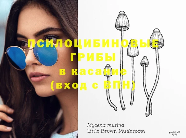 мдпв Каменск-Шахтинский
