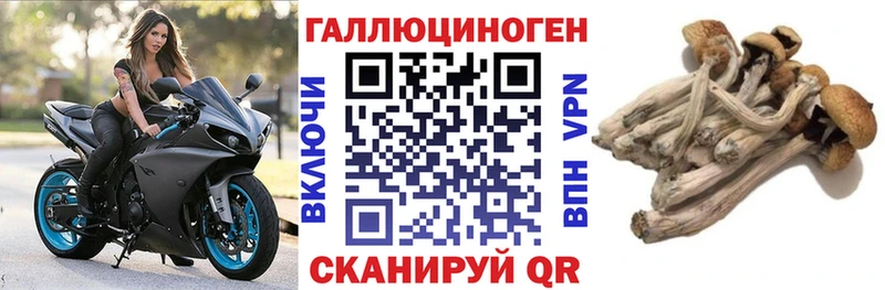 продажа наркотиков  Камышлов  Псилоцибиновые грибы GOLDEN TEACHER 